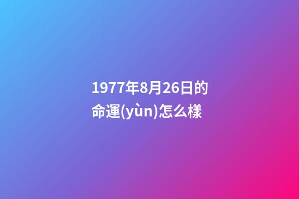 1977年8月26日的命運(yùn)怎么樣 (1977年農(nóng)歷8月26日出生是什么命)-第1張-觀點(diǎn)-玄機(jī)派